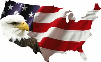 США Белоголовый Орел Американский Флаг Наклейка Автомобиль Грузовик Ноутбук Окно Наклейка Бампер Тюнинг Багажник ноутбука Водонепроницаемый ПВХ
