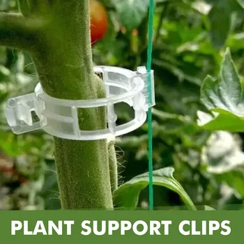 50шт Пластиковых зажимов для поддержки растений Многоразовый Инструмент для защиты виноградной лозы, прививки, крепления для овощей, Томатов, садовых принадлежностей