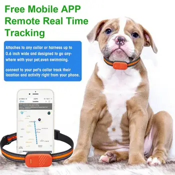 CORUI GPS Трекер Для Домашних Животных С Защитой От Потери Устройства 2G / 4G Двусторонний Вызов Позиционирования Трекер Собака Кошка Сигнализация От потери Локатор Smart Finder